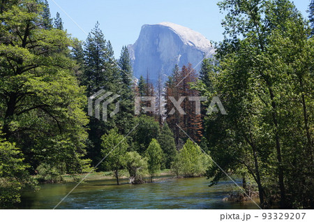 米国 ヨセミテのセンチネル橋から見たハーフドームとマーセド川 93329207
