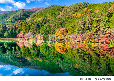 山梨県南アルプス市 南伊奈ヶ湖　～湖面に反射する紅葉～ 93329466