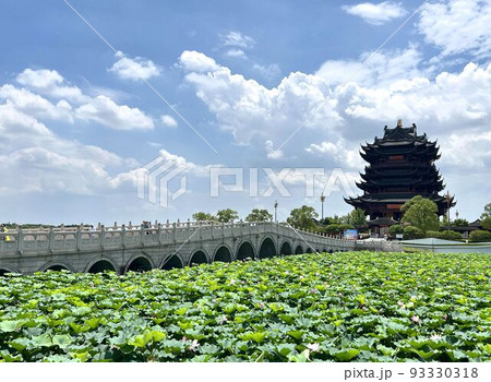 真夏の中国・蘇州の重元寺と蓮池 真夏の中国・蘇州の重元寺と蓮池 93330318