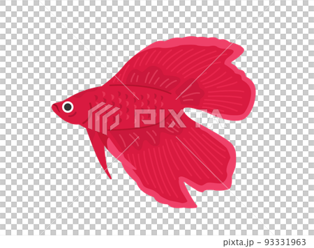 Illustration of a red betta 93331963