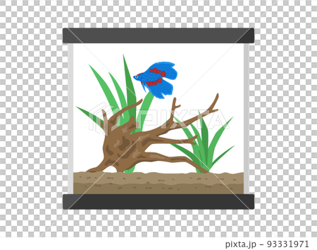 青色のベタの水槽のイラスト 青色のベタの水槽のイラスト 93331971