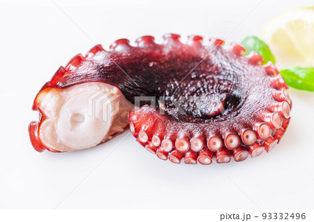 茹でタコ 93332496