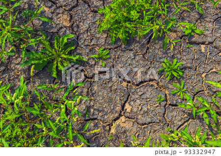 Cracked earth, metaphoric for climate change and global warming 93332947