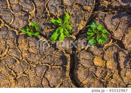 Cracked earth, metaphoric for climate change and global warming 93332967