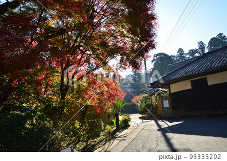 観福寺　2021-12-4　＃3 93333202