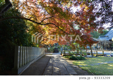 観福寺　2021-12-4　＃9 93333209