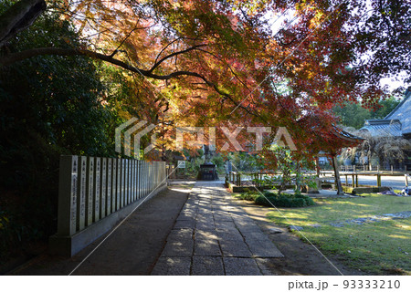 観福寺 2021-12-4 #10 観福寺 2021-12-4 #10 93333210