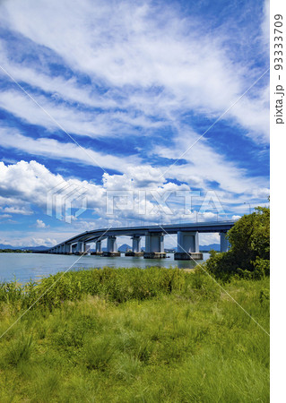 夏の琵琶湖畔 夏の琵琶湖畔 93333709