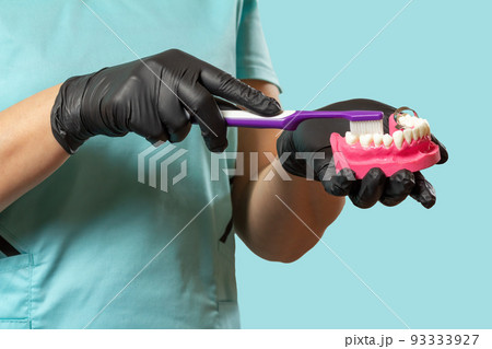 Dentist with toothbrush and layout of the human jaw. Dentist with toothbrush and layout of the human jaw. 93333927