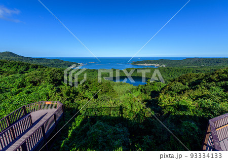 真夏の絶景　八望台から望む戸賀湾と二ノ目潟　秋田県 93334133