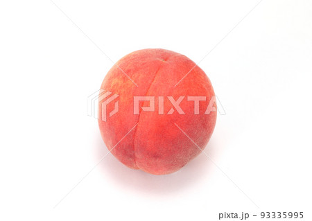 ワッサー 93335995