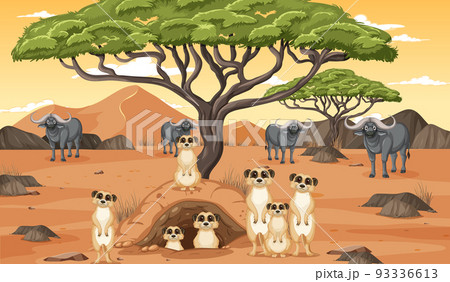 Dryland forest landscape with animals Dryland forest landscape with animals 93336613