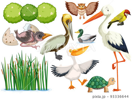 Different kinds of wild animals collection Different kinds of wild animals collection 93336644