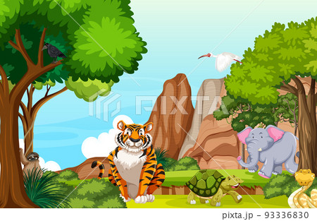 Various animals in the forest 93336830