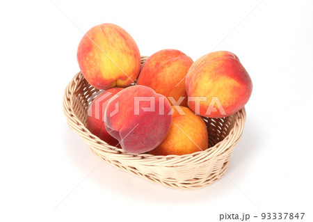 ワッサー ワッサー 93337847