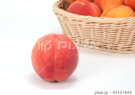 ワッサー ワッサー 93337849