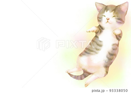 手描きの猫のシンプルフレーム(眠るキジトラ白の子猫) 手描きの猫のシンプルフレーム(眠るキジトラ白の子猫) 93338050