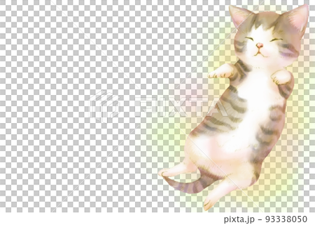 手描きの猫のシンプルフレーム(眠るキジトラ白の子猫) 手描きの猫のシンプルフレーム(眠るキジトラ白の子猫) 93338050