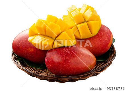 マンゴー マンゴ キリヌキ 93338781