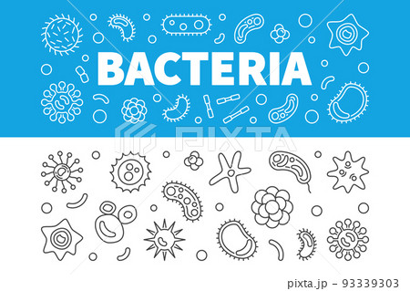 Bacteria horizontal banners set. Vector linear illustration Bacteria horizontal banners set. Vector linear illustration 93339303