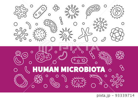 Set of 2 Human microbiota line banners. Vector illustration Set of 2 Human microbiota line banners. Vector illustration 93339714
