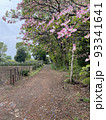 ハナミズキと農道 93341641
