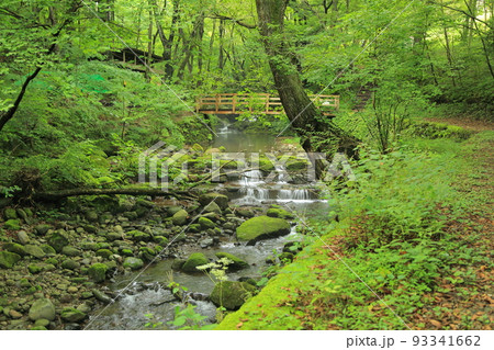 夏の宮川渓谷 夏の宮川渓谷 93341662