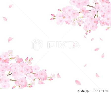 美しく華やかな満開の薄いピンク色の桜と花びら舞い上がる春の白バックフレームベクター素材イラスト 93342126
