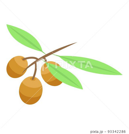 Gold olive branch icon, isometric style Gold olive branch icon, isometric style 93342286