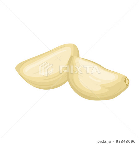 garlic cloves peeled cartoon vector illustration 93343096