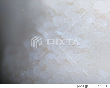 味噌の表面に波打つように生える酵母菌 93343201