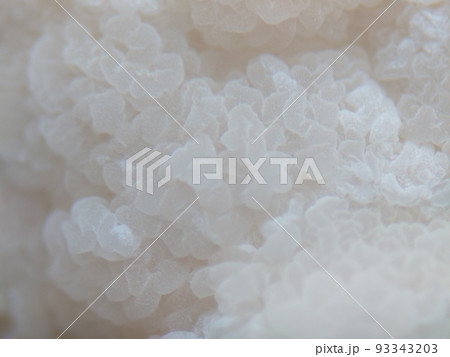 味噌の表面に波打つように生える酵母菌 93343203