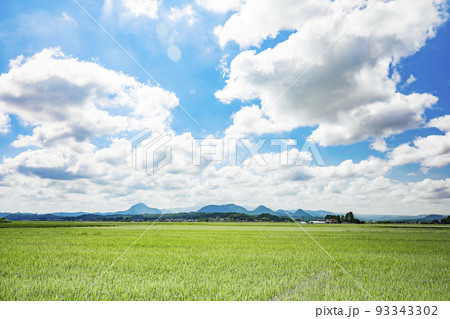 鉄塔　水田　送電線 93343302