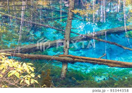 神聖な神の子池「秋の北海道」 93344358