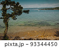 Adriatic sea, Slovenia, coastline with pine trees and sea 93344450