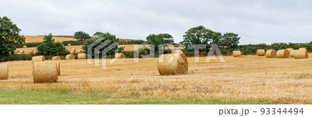 Hay rolls in the field Hay rolls in the field 93344494
