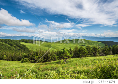 長野県ビーナスラインからの風景、霧ヶ峰と青空と白い雲【8月】 93344674