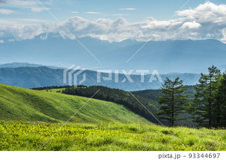 長野県ビーナスラインからの風景、霧ヶ峰と青空と白い雲【8月】 93344697