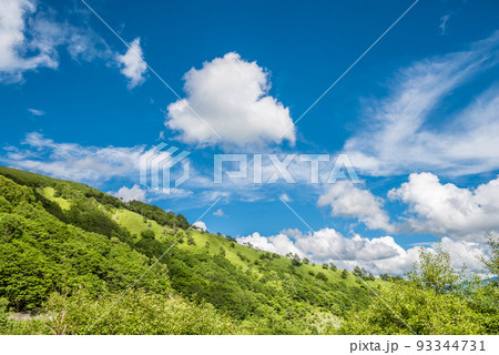 長野県ビーナスラインからの風景、霧ヶ峰と青空と白い雲【8月】 93344731
