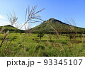 由布岳麓秋の風景（ススキ） 93345107