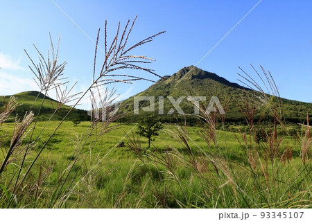由布岳麓秋の風景(ススキ) 由布岳麓秋の風景(ススキ) 93345107