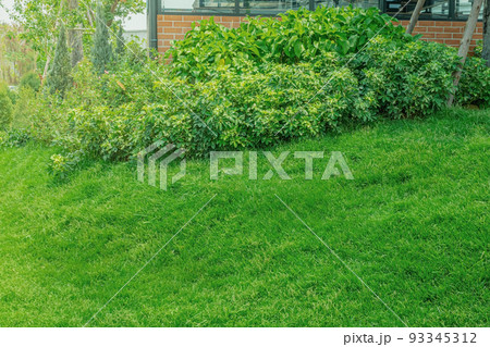 Green grass., Modern house with beautiful landscaped front yard, Lawn and garden blur background., The design concept for background., garden with green lawn and garden., garden in park. 93345312