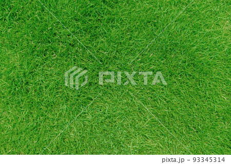 Green grass texture background, Top view of grass garden Ideal concept used for making green flooring, lawn for training football pitch, Grass Golf Courses green lawn pattern textured background. 93345314