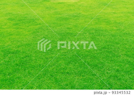 Green grass texture background, Top view of grass garden Ideal concept used for making green flooring, lawn for training football pitch, Grass Golf Courses green lawn pattern textured background. Green grass texture background, Top view of grass garden Ideal concept used for making green flooring, lawn for training football pitch, Grass Golf Courses green lawn pattern textured background. 93345532