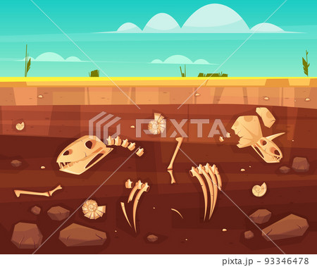 Dinosaurs skeletons bones in soil layers vector 93346478