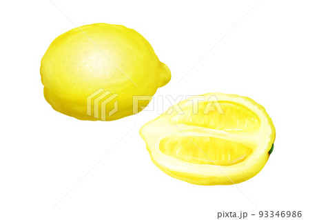 Lemon fruit vector realistic citrus illustration Lemon fruit vector realistic citrus illustration 93346986