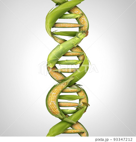 Genetically Modified Crop 93347212