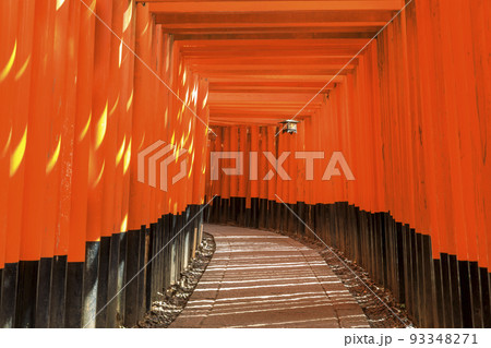 京都市伏見区 伏見稲荷大社の千本鳥居 京都市伏見区 伏見稲荷大社の千本鳥居 93348271