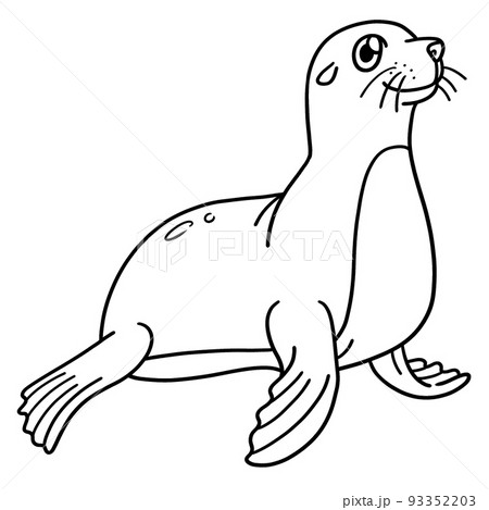 Seal Isolated Coloring Page for Kids Seal Isolated Coloring Page for Kids 93352203