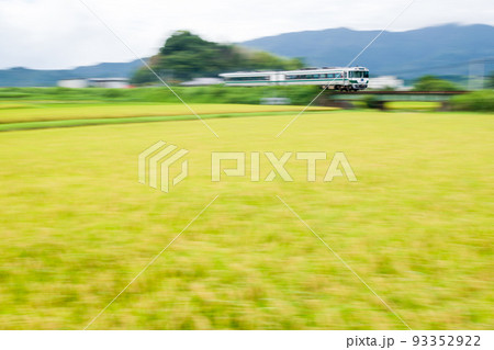【牟岐線】田園風景を通過する早朝の特急列車 93352922